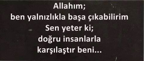 15622103_1238430532949979_7267109500708965091_n